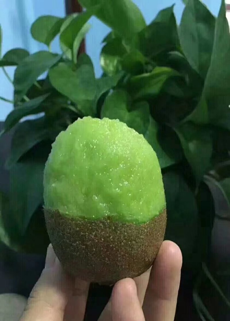 猕猴桃