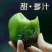 猕猴桃