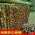 香肠