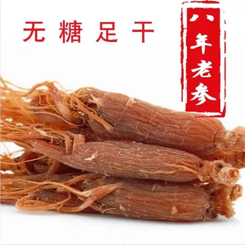 长白山采挖红参，野生红参