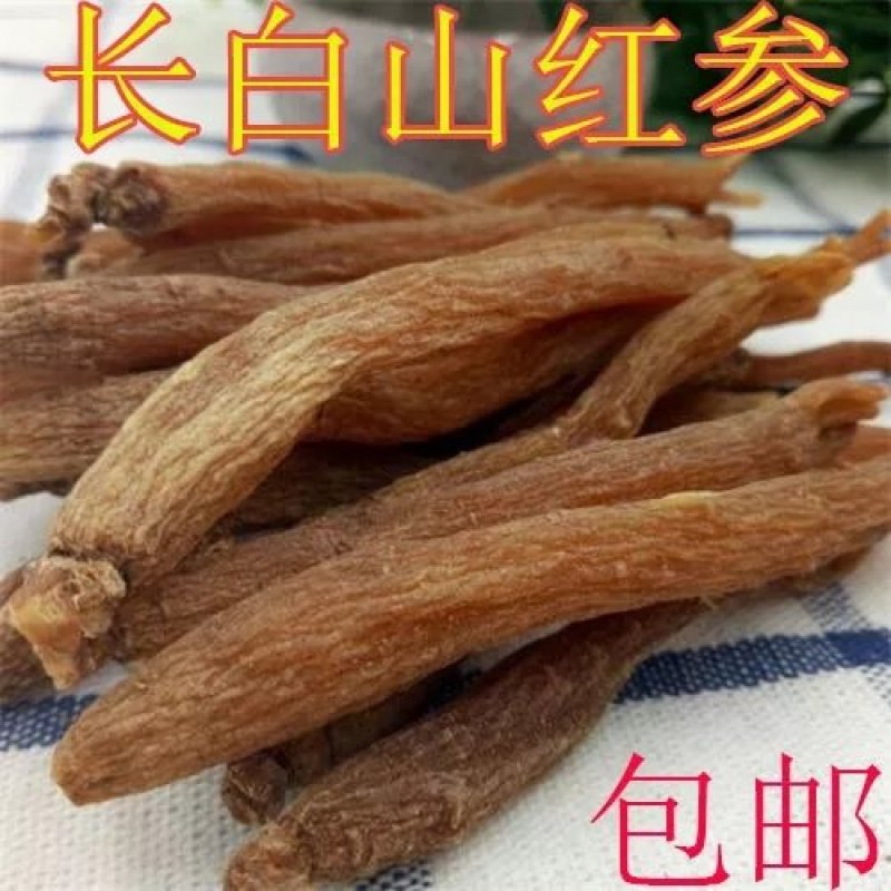 长白山采挖红参，野生红参