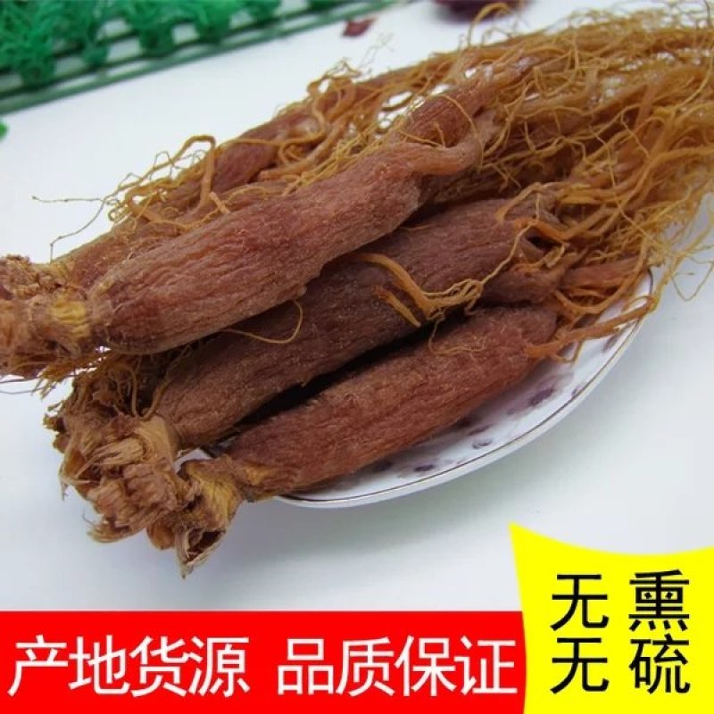 长白山采挖红参，野生红参
