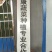 红根蒜苗种子二水早苔蒜，纯手工剥徐州紫皮早熟川蒜