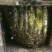 百花蜜土蜂蜜纯天然自产自销百花蜜有76元500克