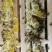 百花蜜土蜂蜜纯天然自产自销百花蜜有76元500克