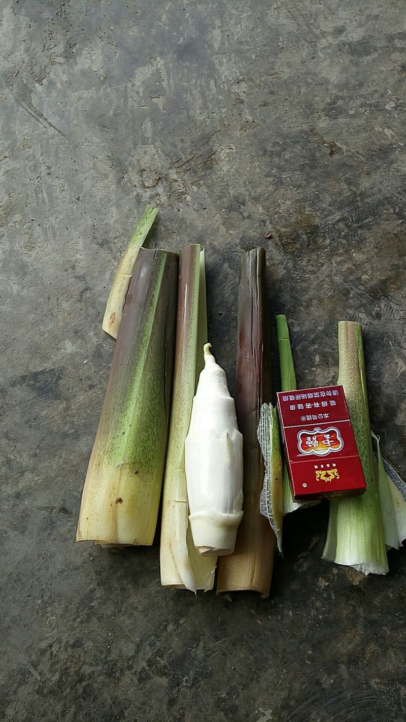 茭白
