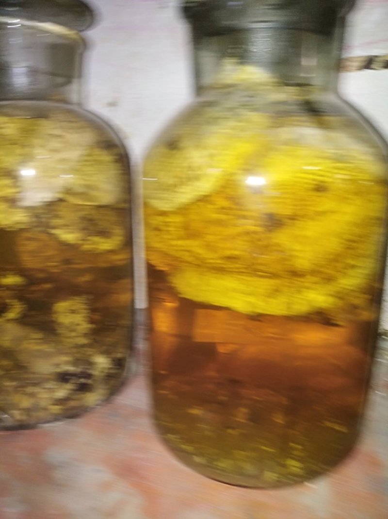 牛大力细叶苗，海狗鞭，野蜂蛹