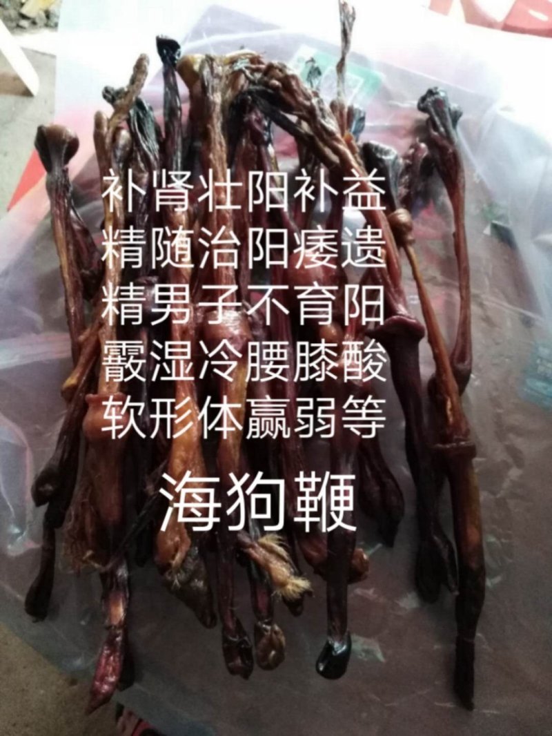 牛大力细叶苗，海狗鞭，野蜂蛹
