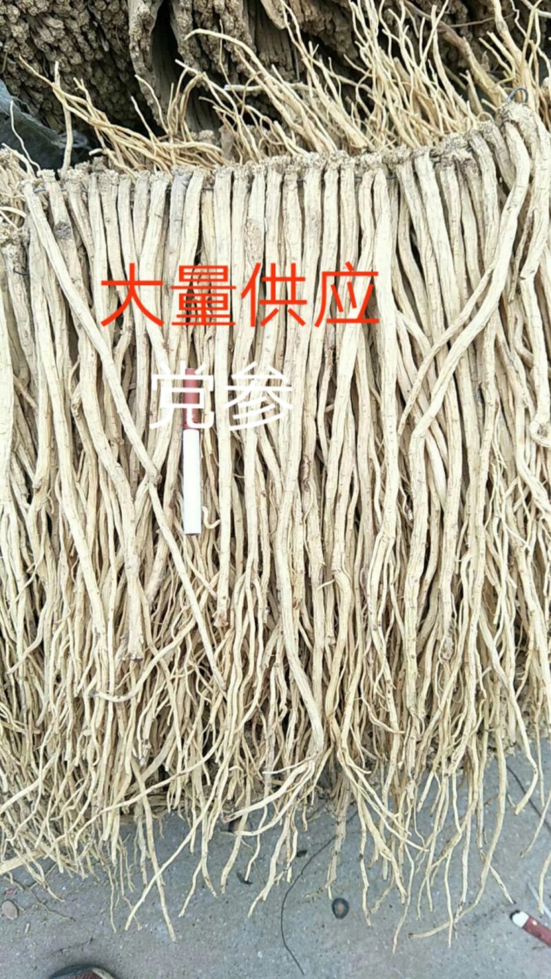 牛大力细叶苗，海狗鞭，野蜂蛹