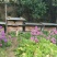 土蜂蜜甘肃甘南藏区野生土蜂蜜百花蜜格桑花蜜