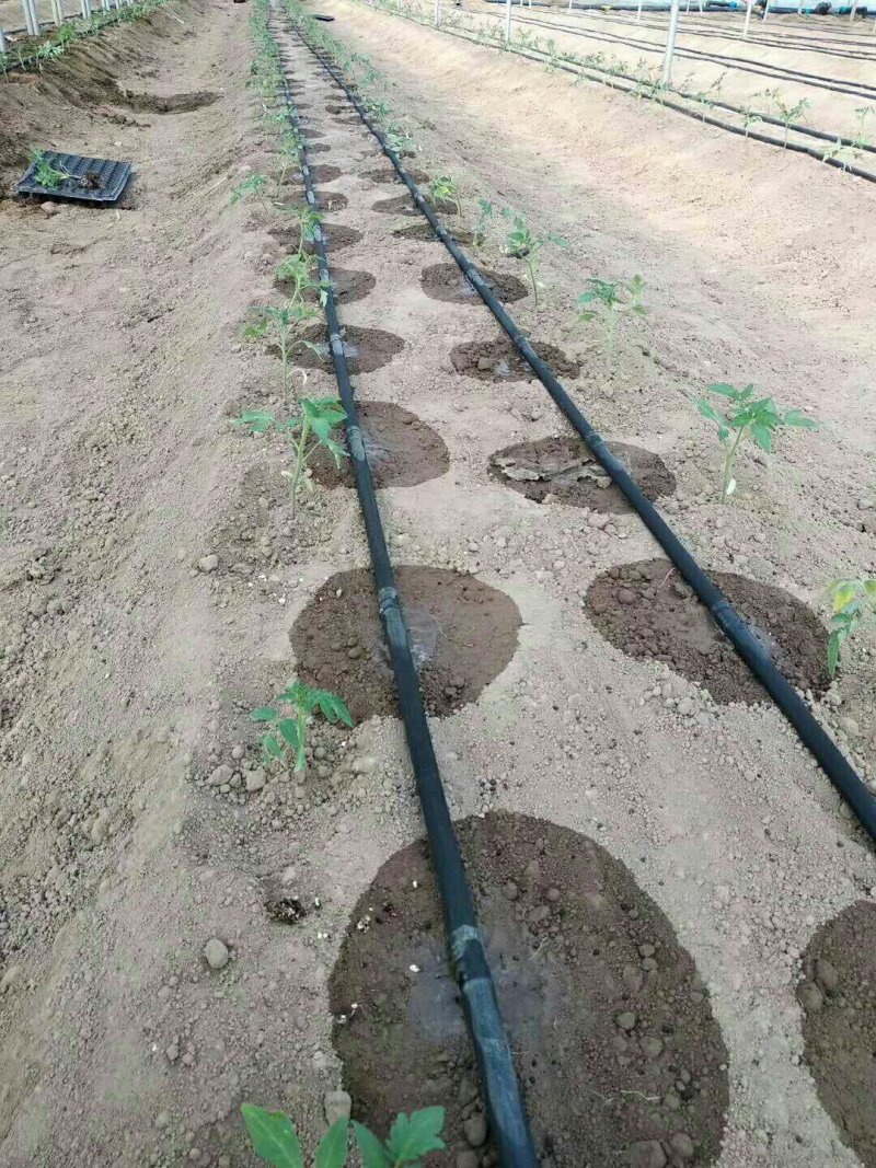 滴灌带
