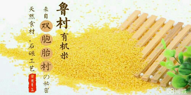 鲁村黄小米
