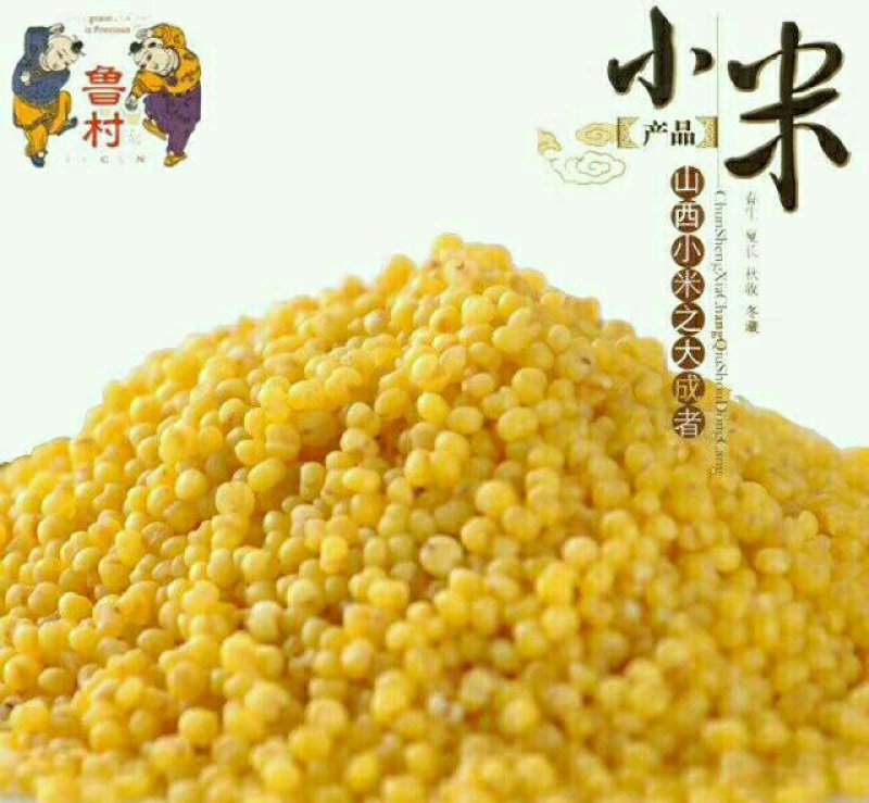 鲁村黄小米