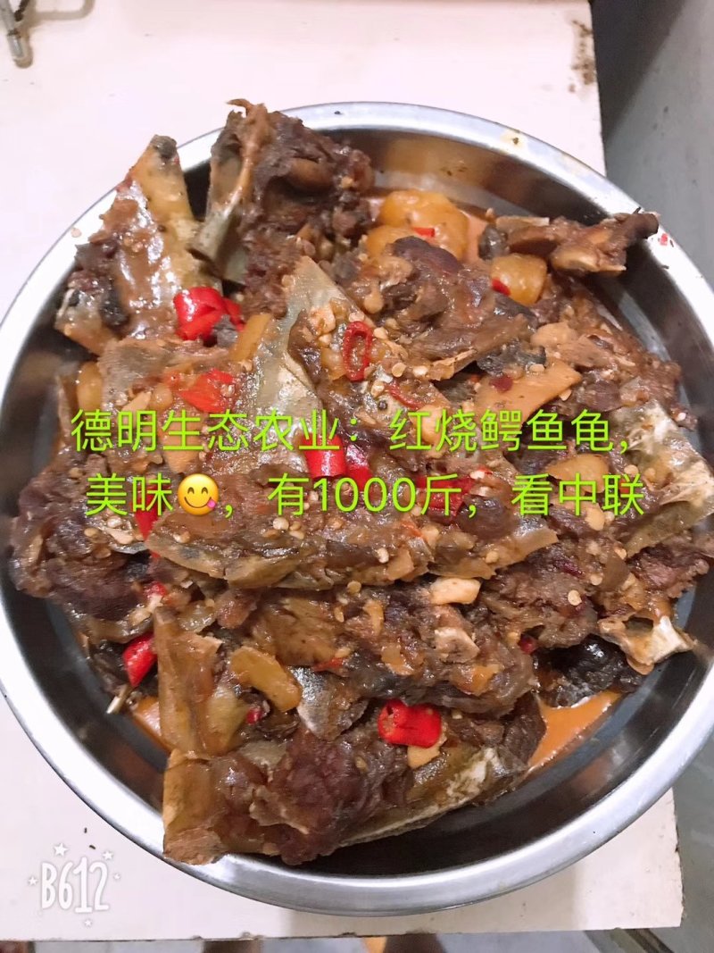 江西生态甲鱼