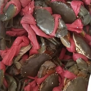 靓货