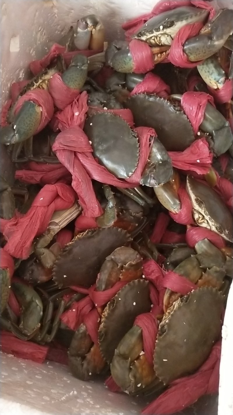 靓货
