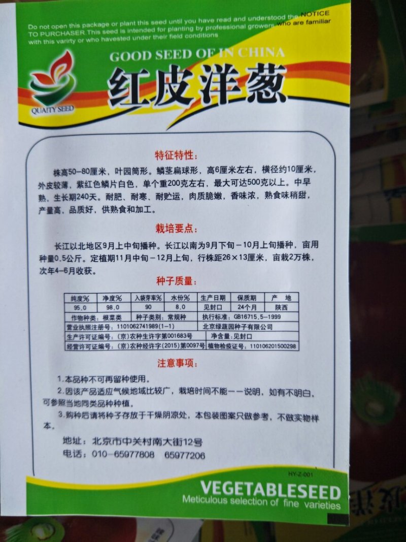 洋葱种子