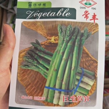巨生芦笋种子
