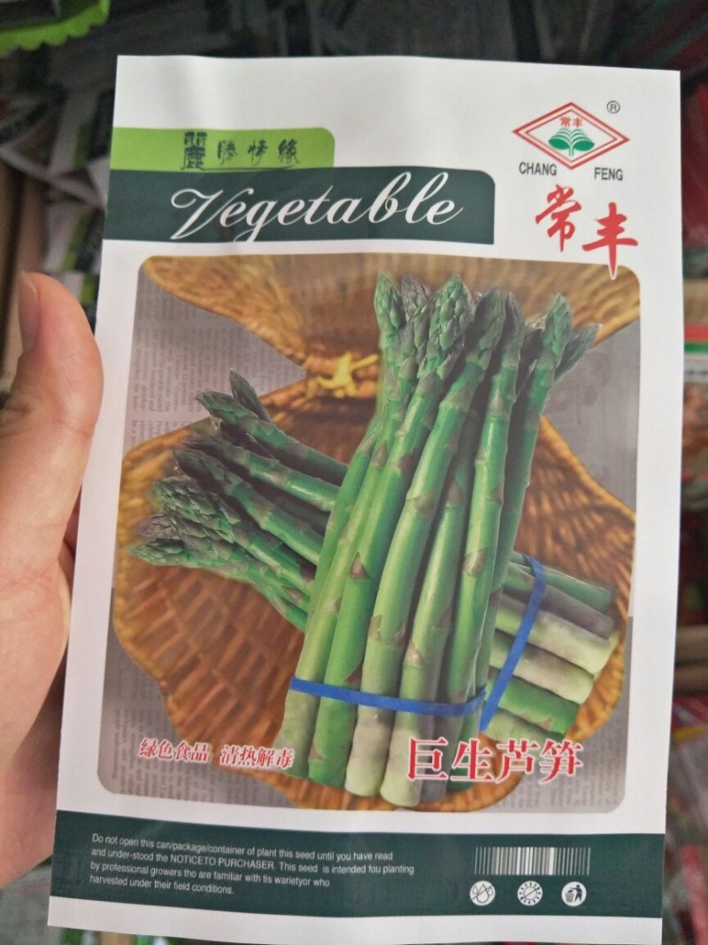 巨生芦笋种子