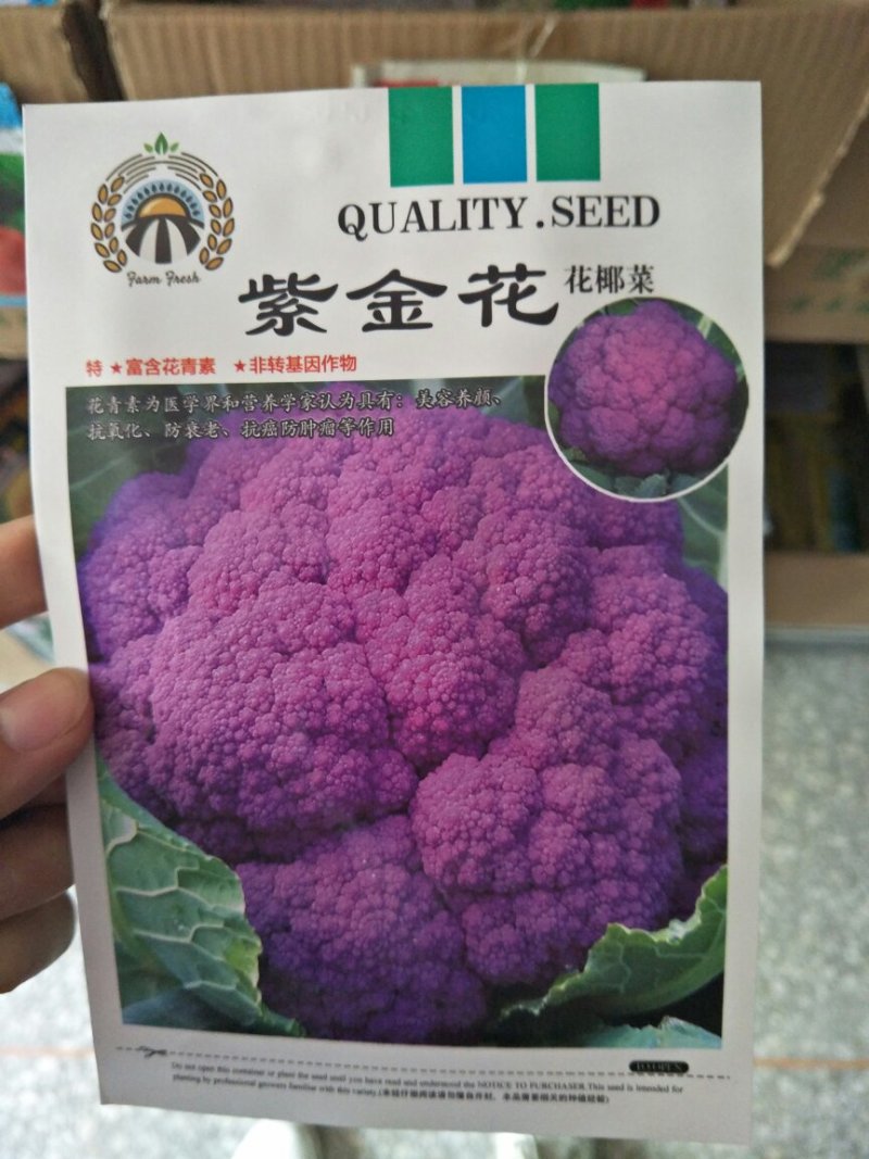 西蓝花种子