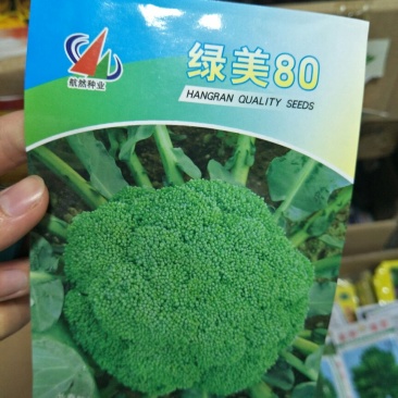 西蓝花种子