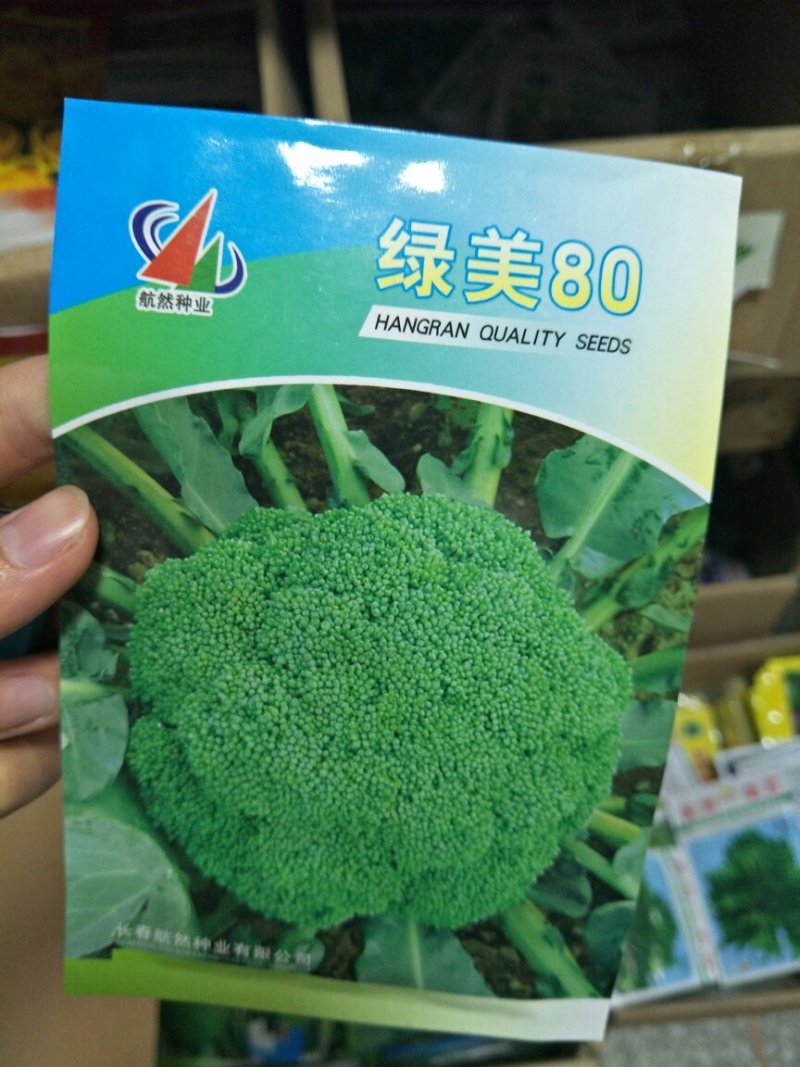 西蓝花种子
