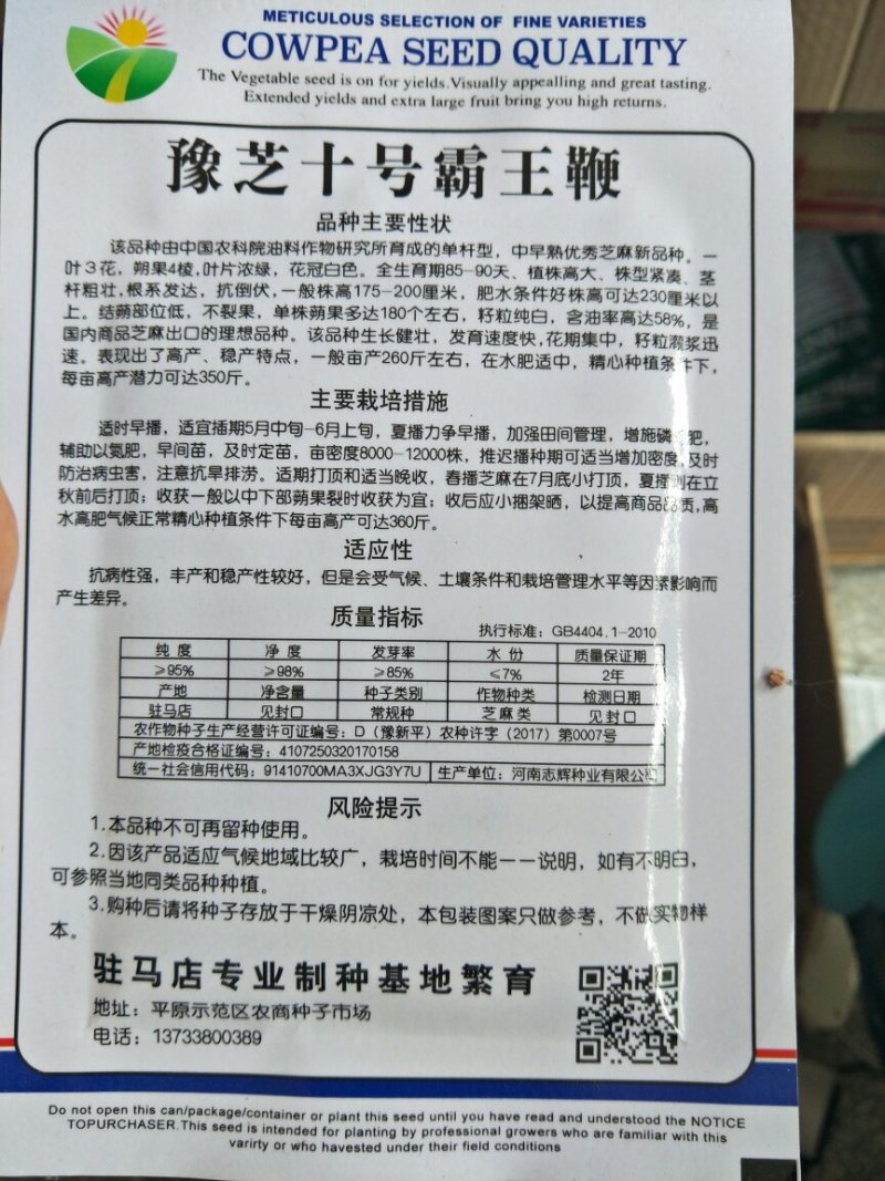 芝麻种子