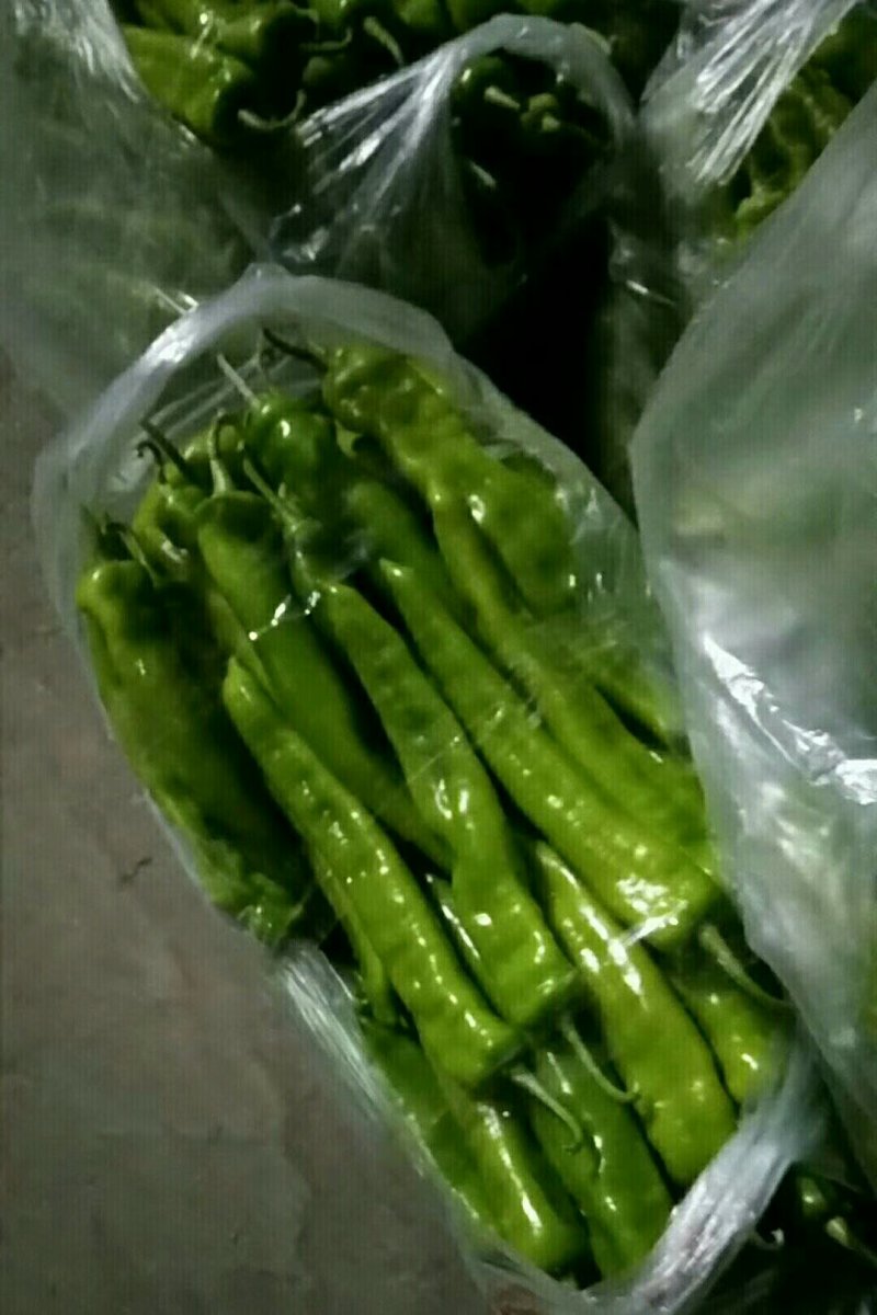 尖椒，线椒，青椒，西红柿