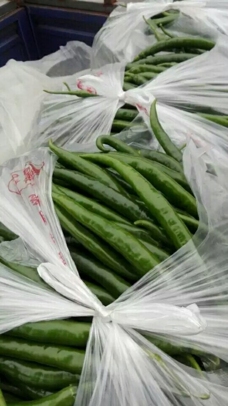 尖椒，线椒，青椒，西红柿