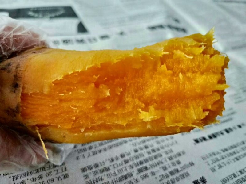 紫云红心红薯紫云番薯，贵州红薯，安顺红薯
