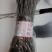 酸辣粉丝