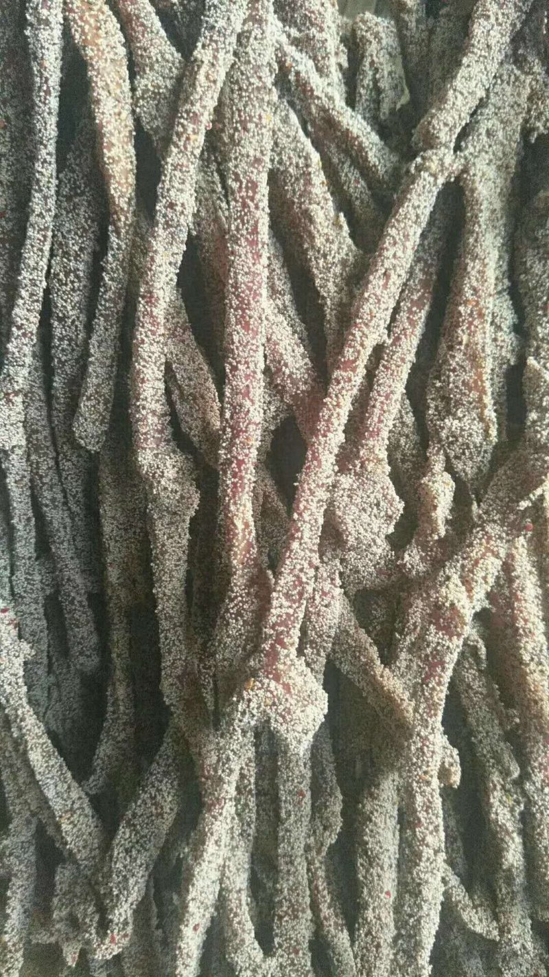 生态黄牛肉干吧，随时有货，需要的联系