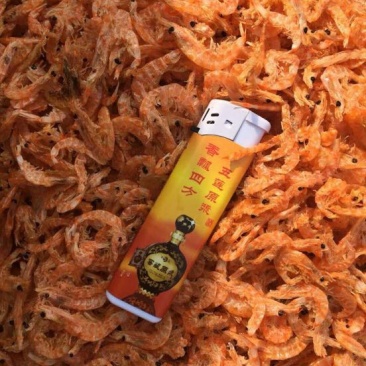 南极磷虾