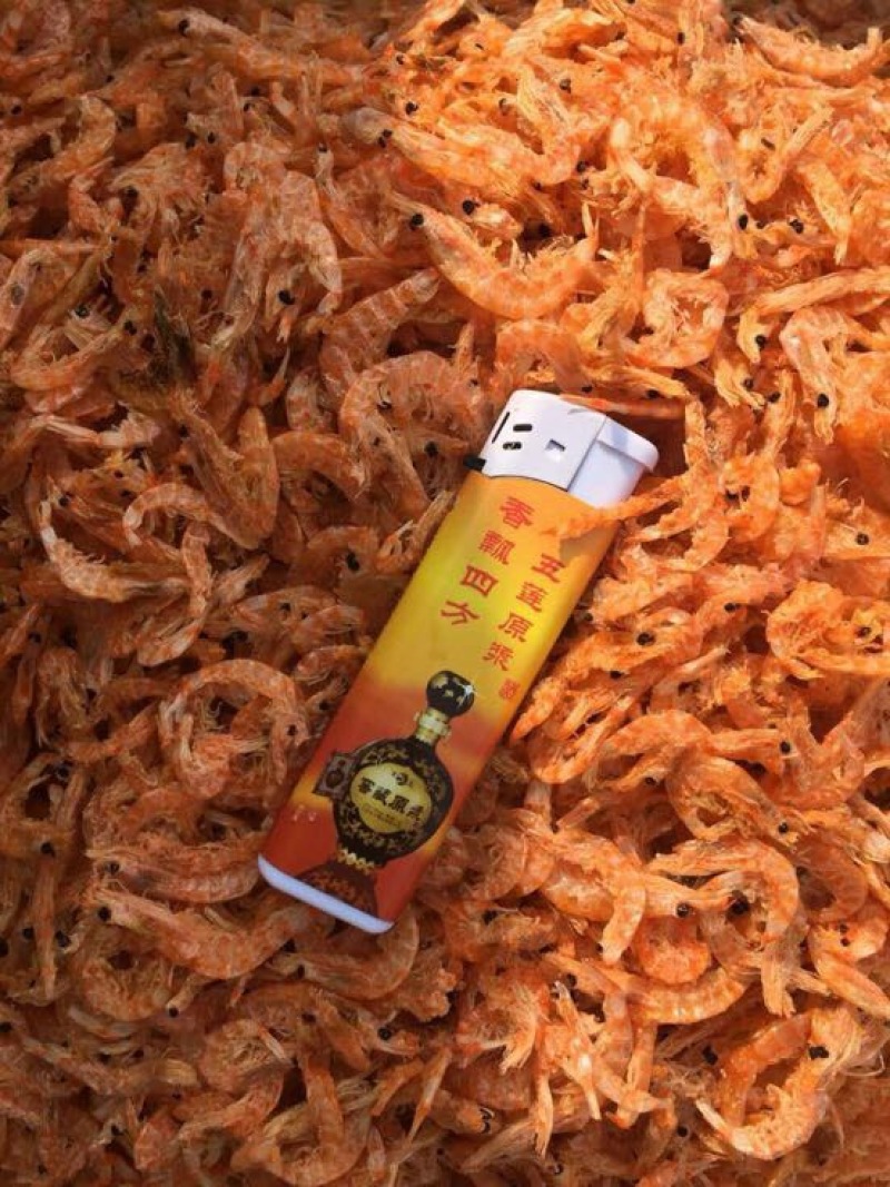 南极磷虾