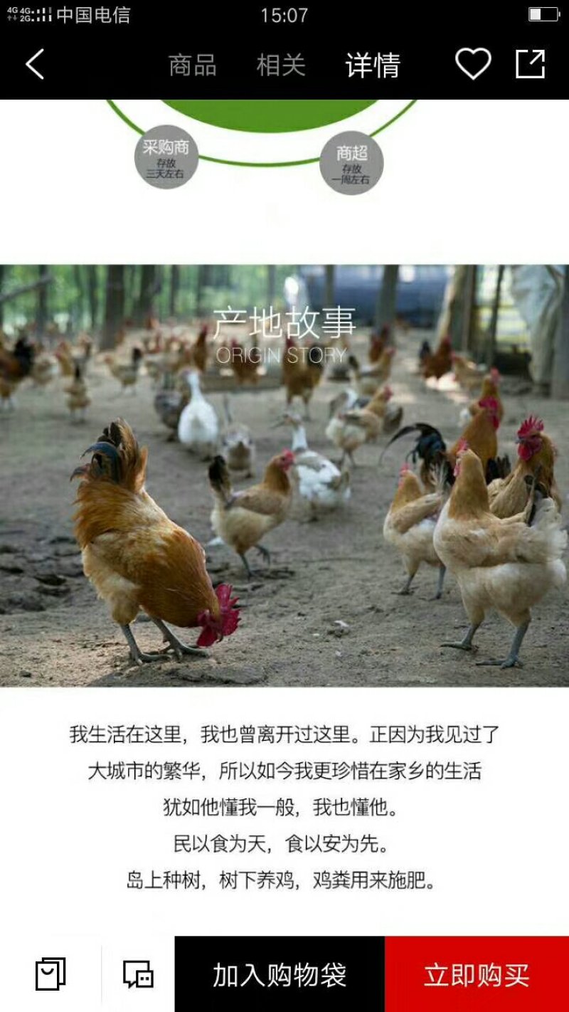 散养青麻鸡