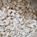 南瓜子中药材用河北干货量大从优