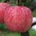 红将军苹果可以视频看货果园看货采摘质量保证价格美丽
