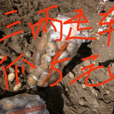 226三两起