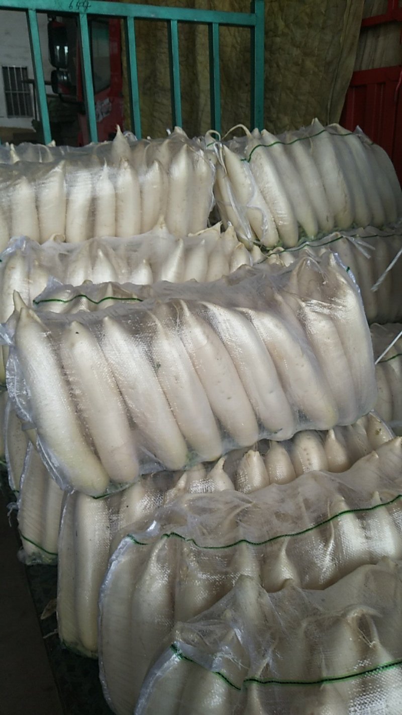 有香菜油菜油麦精品