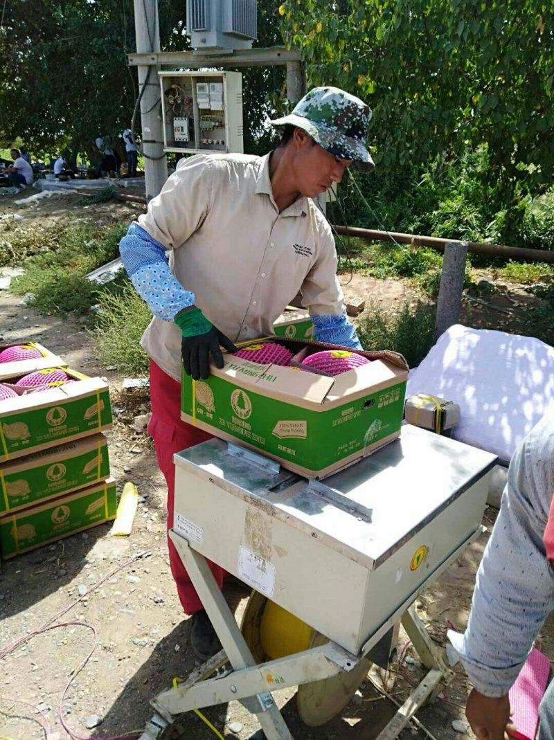 新疆精品西州蜜
