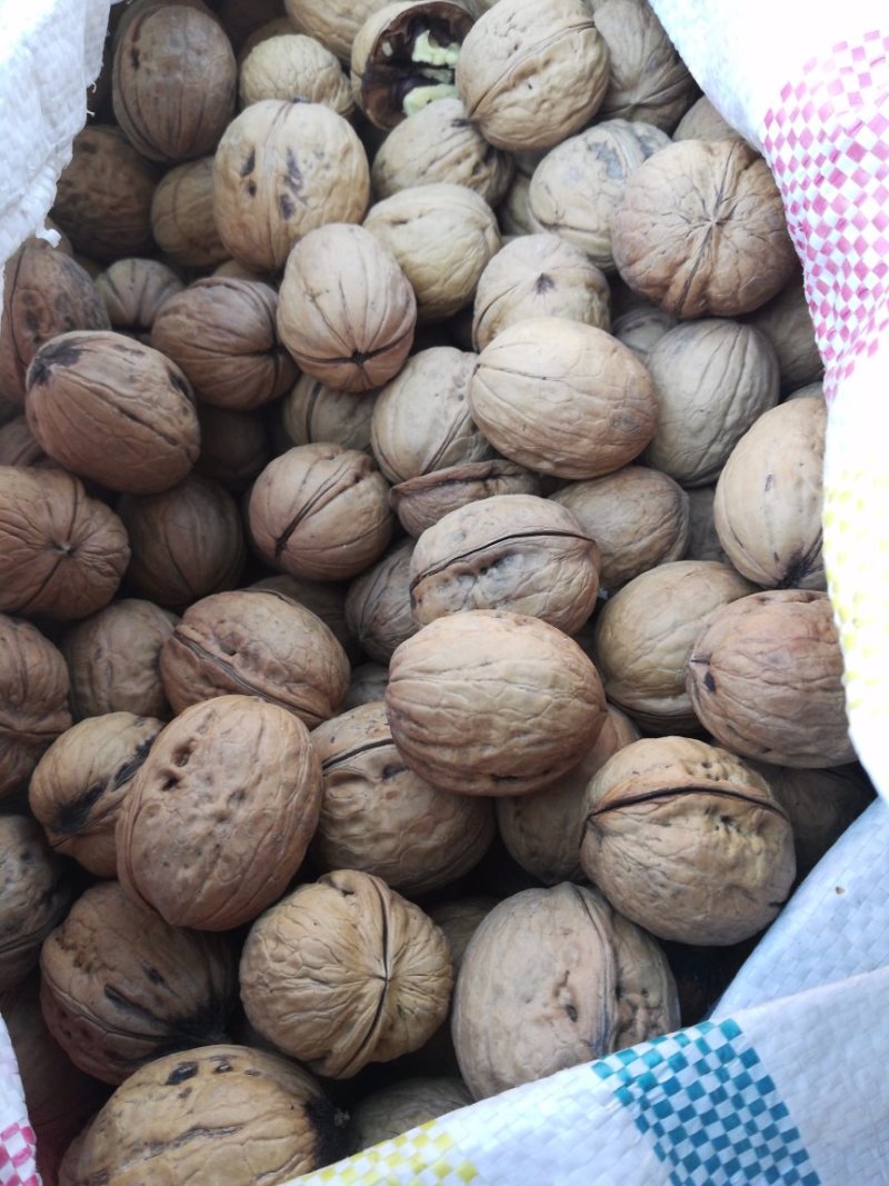纯香玲薄皮核桃干果皮薄肉香