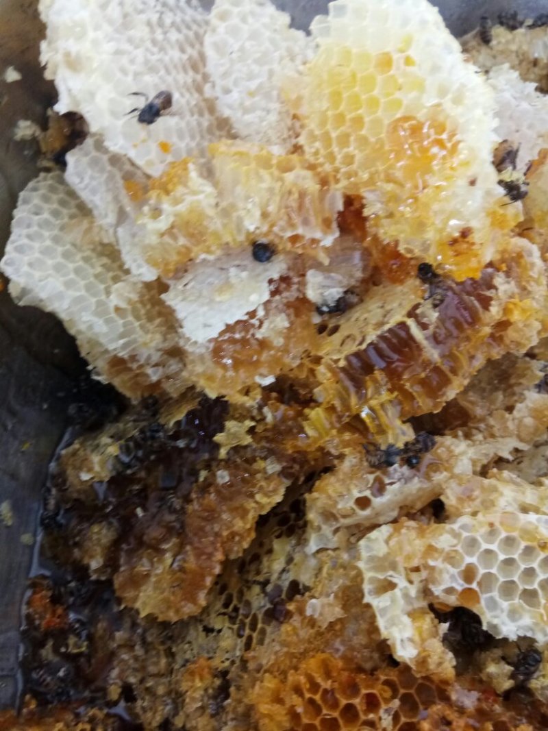土蜂蜜