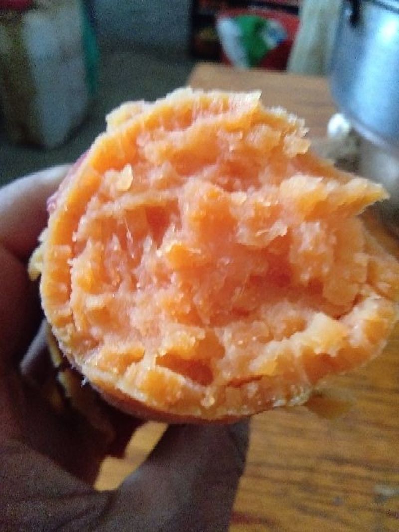 西瓜红红薯