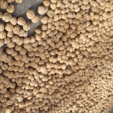 新疆185纸皮核桃大量供应品质保障
