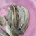 胡子鲶、2两3两左右