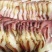 腊肉传奇宝兴老腊肉