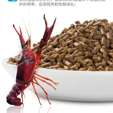 润派小龙虾饲料28蛋白鳌虾颗粒饲料厂家直销全国送货上门