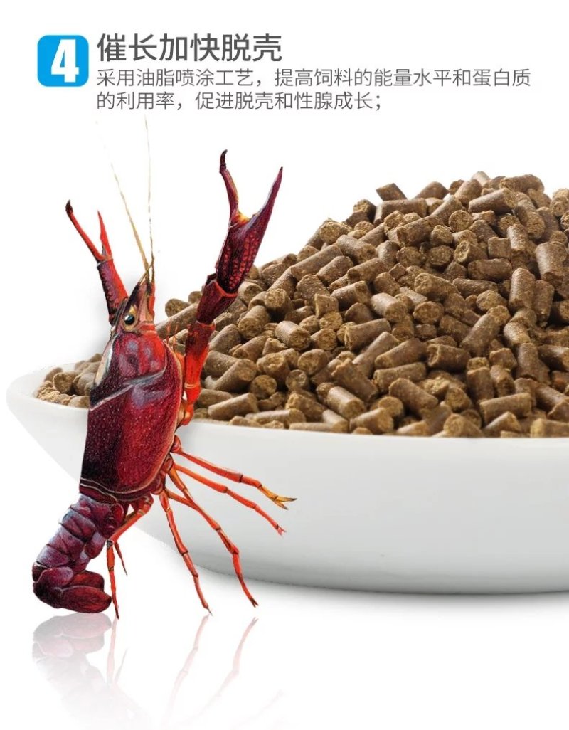 润派小龙虾饲料28蛋白鳌虾颗粒饲料厂家直销全国送货上门