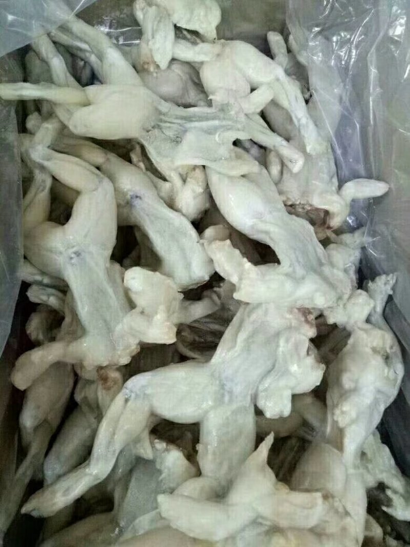 牛蛙