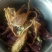 昙花苗与昙花干